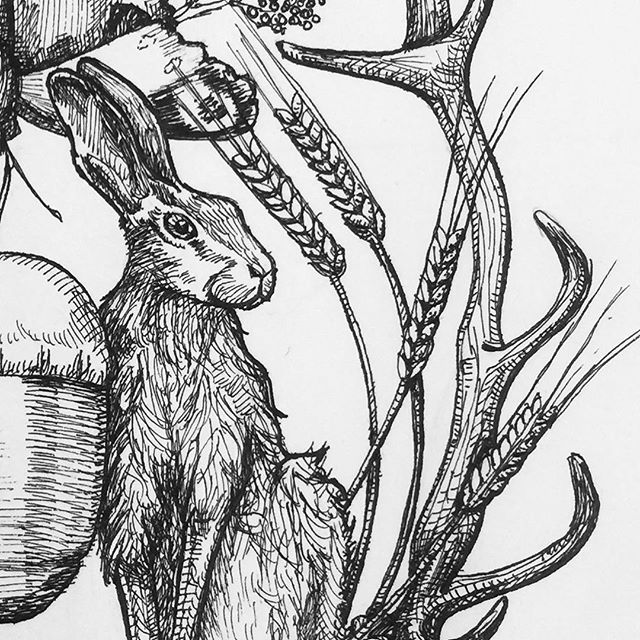 A detail from something I am working on at the moment #hare #acorn #antler #wheat #country side #wildlife #butterfly #penandink #fineliner #rotring #fountainpen #carbonink